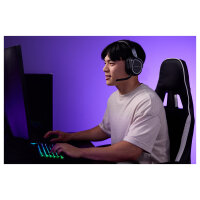 Turtle Beach Stealth 700 GEN 3 PC. schwarz