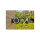 Gardena Wand-Schlauchbox RollUp L. 30 m. weiß