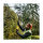 DEWALT Akku-Stabheckenschere. 18 Volt. Basiv.