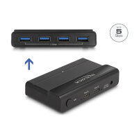 DELOCK USB 5 Gbps Switch 4 x Gert und 2 x Host