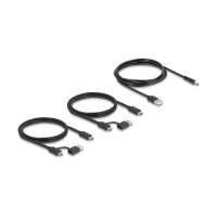 DELOCK USB 5 Gbps Switch 4 x Gert und 2 x Host
