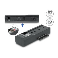 DELOCK USB Type-C Konverter fur 1 x M.2 SSD oder 1 x SATA SSD / HDD