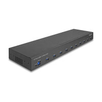 DELOCK 48.26cm 19Zoll Industrie Hub 10 x USB 10 Gbps Typ-A