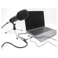 DELOCK Externe USB Soundkarte mit Type-C Stecker auf 2 x 3.5mm Klinkenbuchse Plug & Play Audio Adapter