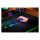 Razer Naga V2 Pro (schwarz)