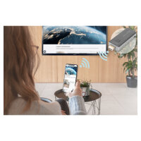 Digitus Click & Present Mini - Wireless Presentation System
