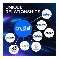 16 GB Crucial Pro Modul - DIMM 288-PIN Low Profile - 6000 MHz / PC5-48000 - CL48 - 1.1 V - ungepuffert - on-die ECC - mattschwarz