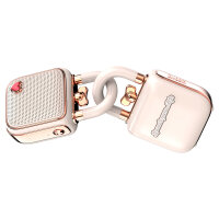 Divoom Lautsprecher LoveLock Bluetooth pink