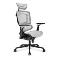 Sharkoon Brostuhl OfficePal C50M (grau)