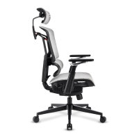 Sharkoon Brostuhl OfficePal C50M (grau)
