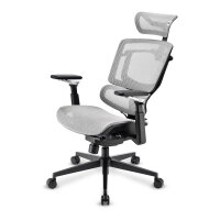 Sharkoon Brostuhl OfficePal C50M (grau)