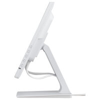iiyama ProLite T2452MSC-W1AG Touch Monitor 60,5 cm (24")