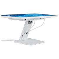 iiyama ProLite T2452MSC-W1AG Touch Monitor 60,5 cm (24")