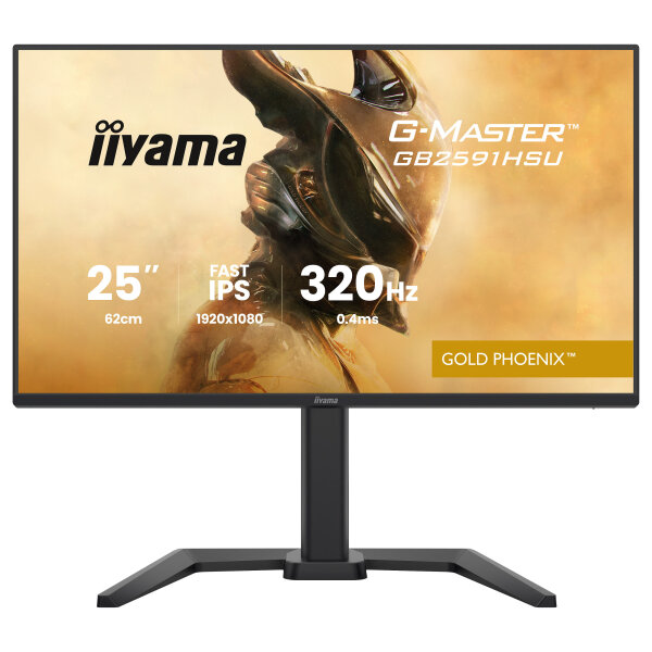 iiyama G-MASTER Gold Phoenix™ GB2591HSU-B1 Gaming-Monitor 68,6 cm (24,5") mattschwarz
