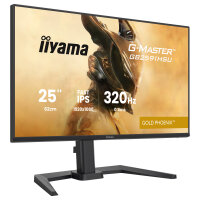 iiyama G-MASTER Gold Phoenix™ GB2591HSU-B1 Gaming-Monitor 68,6 cm (24,5") mattschwarz