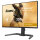 iiyama G-MASTER Gold Phoenix™ GB2591HSU-B1 Gaming-Monitor 68,6 cm (24,5") mattschwarz