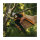 Fiskars Bypass-Gartenschere X-series L P961