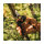Fiskars Bypass-Gartenschere X-series L P961