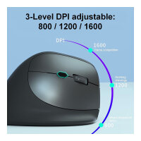 Equip Ergonomische Maus DM 2.4GHz+BT 6Button Rechts schwarz