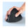 Equip Ergonomische Maus DM 2.4GHz+BT 6Button Rechts schwarz