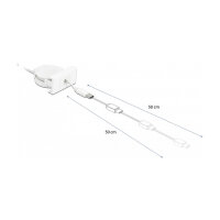 DELOCK Easy 45 Modul USB 2.0 Ausrollkabel USB Typ-A zu USB Type-C weiss