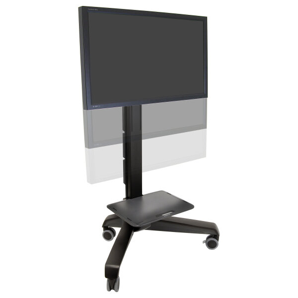 ZUB ERGOTRON Neo-Flex Mobile MediaCenter VHD