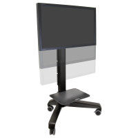 ZUB ERGOTRON Neo-Flex Mobile MediaCenter VHD