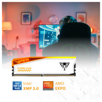 48GB Patriot Memory PC6600 (2x24) Viper Elite 5 TUF Gaming RGB