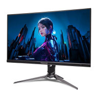 Acer Predator XB3 (XB273KV5bmiiprx) 27,0" 4K Gaming...