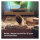 Philips Soundbar 2.1 TAB5309/10 mit kabellosem Subwoofer schwarz