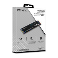 M.2 250GB PNY CS1030 M280CS1030-250-RB 0,329 DWPD 2280...