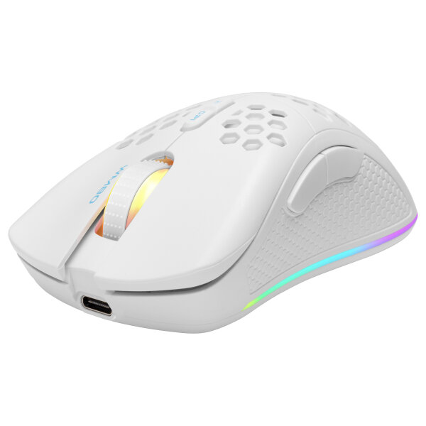 Deltaco Gaming Maus USB, RGB, weiß