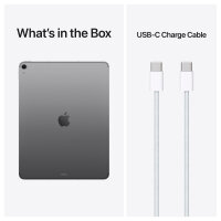 Apple iPad Air 13 M4 Wi-Fi + Cellular 256GB (spacegrau)
