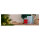 SMEG CJF11RDEU Zitruspresse Rot