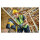 DeWalt DCS335N-XJ Akku-Sge