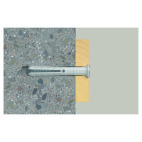 Fischer Nageldübel N 6x60/30 S 100 St.