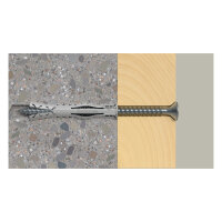 Fischer Dübel SX Plus 10x80 25 St.