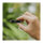 STICK 128GB PNY Elite X USB 3.2 Typ C retail retail