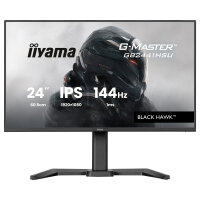 60,5 cm/23,8? (1920×1080) iiyama G-Master...