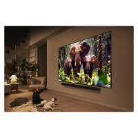 139,7 cm/55" (3840×2160) LG 55QNED85A6C 16:9 QNED evo MiniLED 100/120 Hz a8 Gen2 HDMI ×4 USB ×2 WiFi6 LAN webOS25 Black