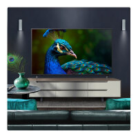 139,7 cm/55" (3840×2160) LG 55UA75006LA 16:9 LED 60Hz a7 Gen8 4K HDMI×3 USB×2 WiFi webOS Black