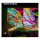 Hisense 85E77Q PRO 215cm 85" 4K QLED Smart TV Fernseher