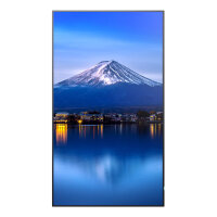 Sharp MultiSync P656 Digital Signage Display 165 cm 65 Zoll