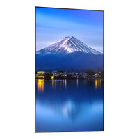 Sharp MultiSync P656 Digital Signage Display 165 cm 65 Zoll