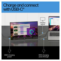 HP E14 G4 Tragbarer Monitor - IPS-Panel, USB-C, 5 ms