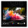 Gigabyte Aorus FO32U 80cm (31,5") 4K OLED Gaming Monitor 16:9 HDMI/DP/USB-C 165Hz 0,03ms
