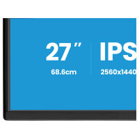 68,6cm/27" (2560x1440) iiyama ProLite X2792QSU-B1 16:9 IPS 3ms 100Hz HDMI DisplayPort USB VESA Speaker Black