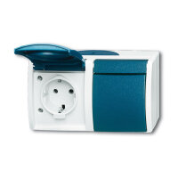 BUSCH JAEGER Ocean - Steckdose Klappdeckel 2-fach - AP...