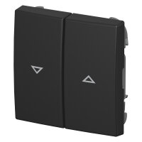 BUSCH JAEGER BJ 2504-915 Wippe mit Aufdruck Zweiteilig...