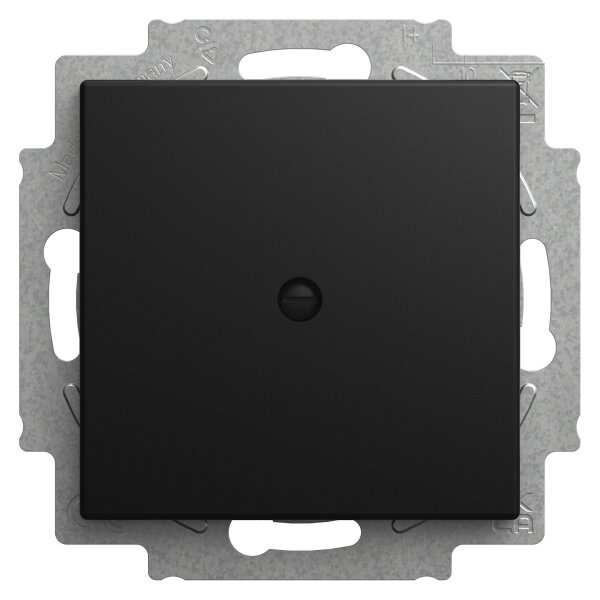BUSCH JAEGER BJ 2538-915 Blindzentralscheibe mit Tragring Busch-balance® SI